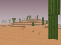 isla desierto