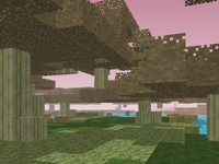 isla pantano