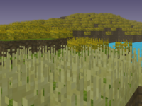 isla pradera
