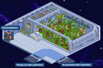 Jardín Hidropónico